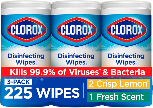 Clorox Disinfecting Wipes Value Pack